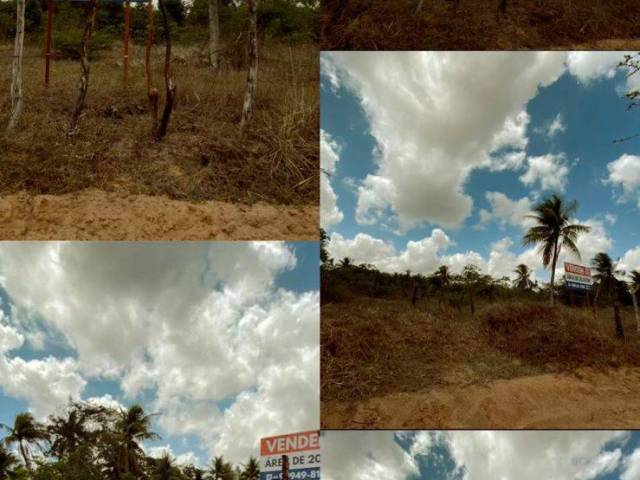 #51 - Área para Venda em São Gonçalo do Amarante - RN - 1