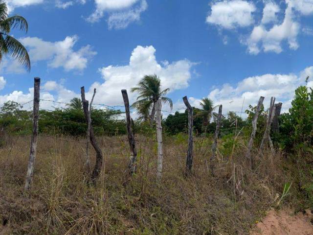 Área para Venda em São Gonçalo do Amarante - 5