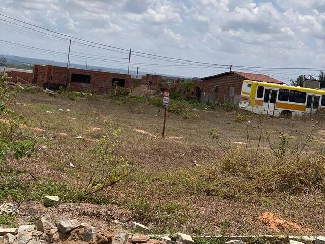 #60 - Terreno para Venda em São Gonçalo do Amarante - RN - 2