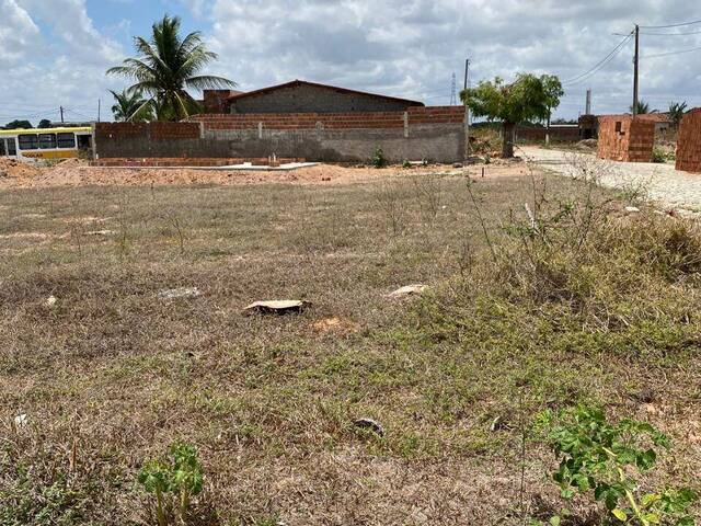 Terreno para Venda em São Gonçalo do Amarante - 4