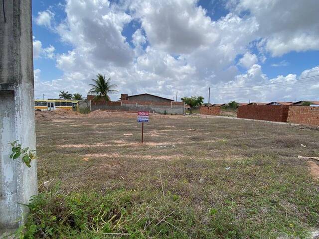 #60 - Terreno para Venda em São Gonçalo do Amarante - RN - 3