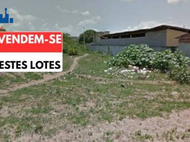 Terreno para Venda em São Gonçalo do Amarante - 5