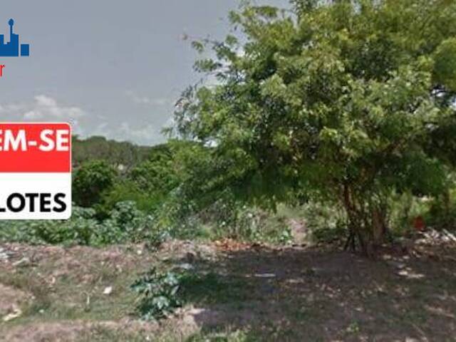 Terreno para Venda em São Gonçalo do Amarante - 4