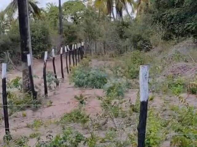 Terreno para Venda em Extremoz - 4