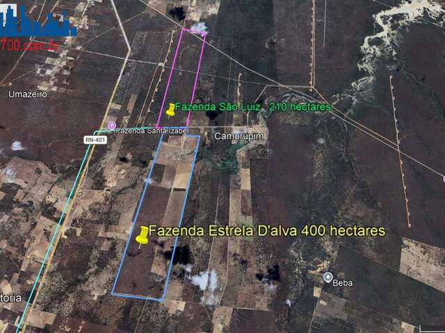 #66 - Fazenda para Venda em Guamaré - RN - 1