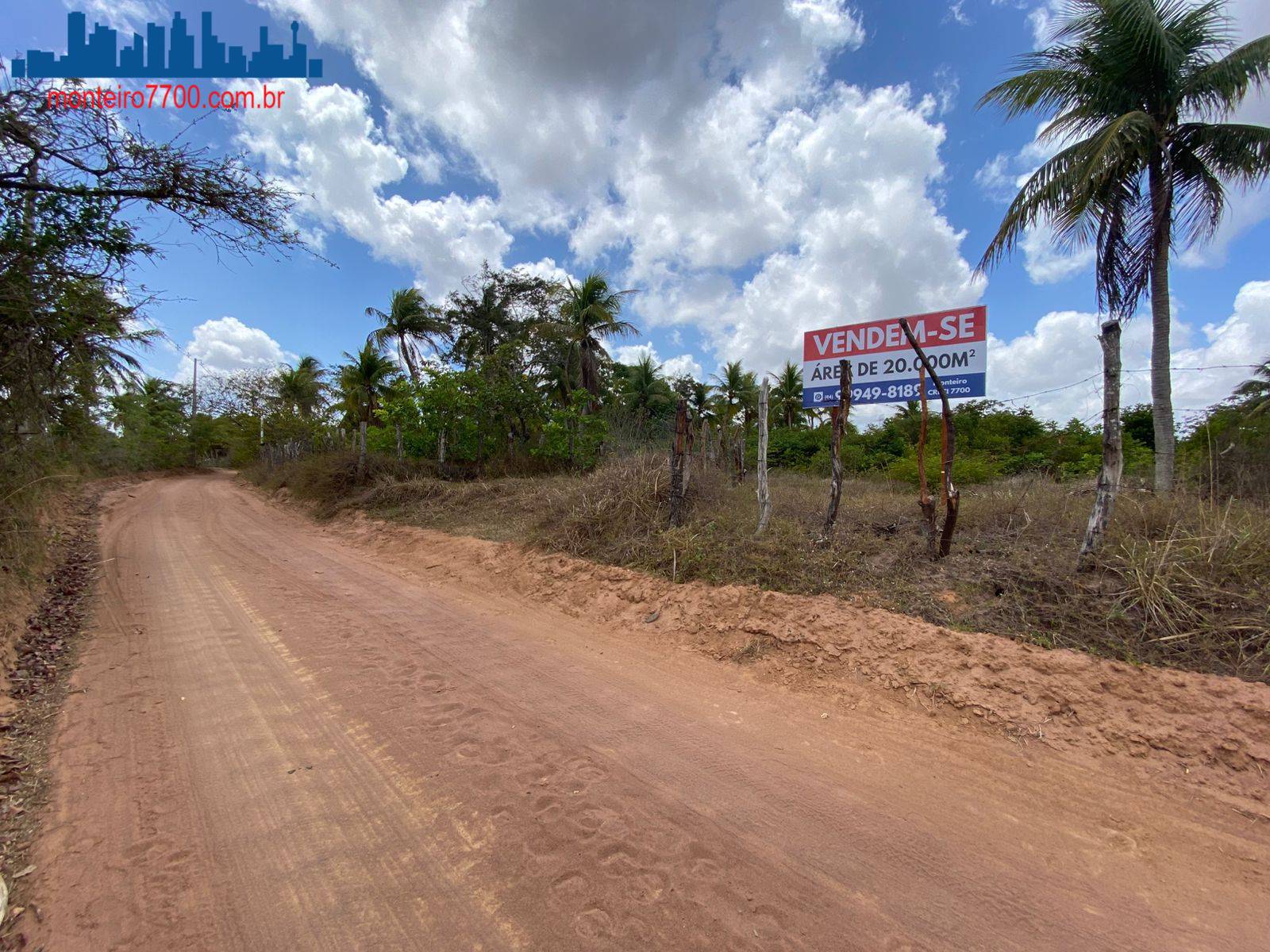 Terreno, 2 hectares - Foto 3