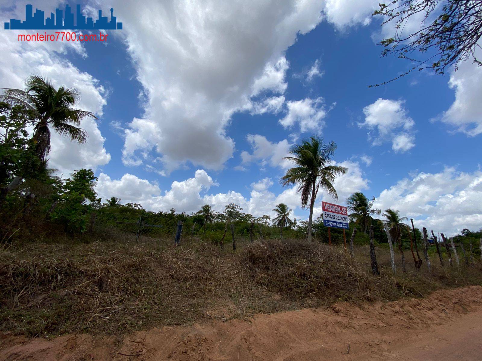 Terreno, 2 hectares - Foto 7