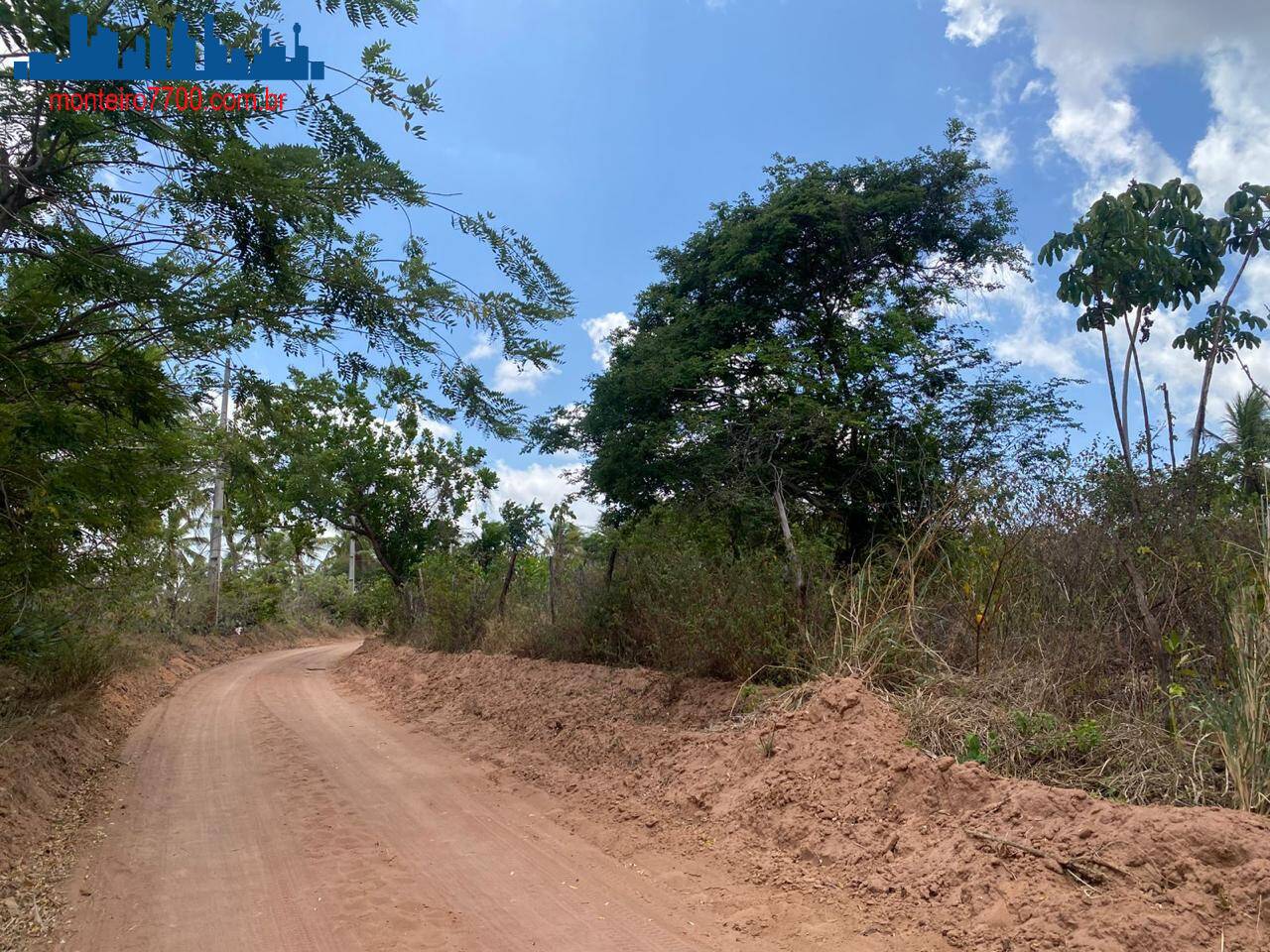 Terreno, 2 hectares - Foto 4