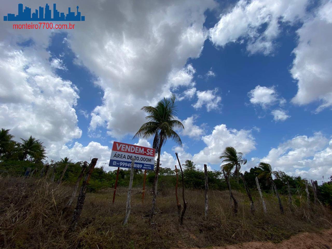 Terreno, 2 hectares - Foto 8