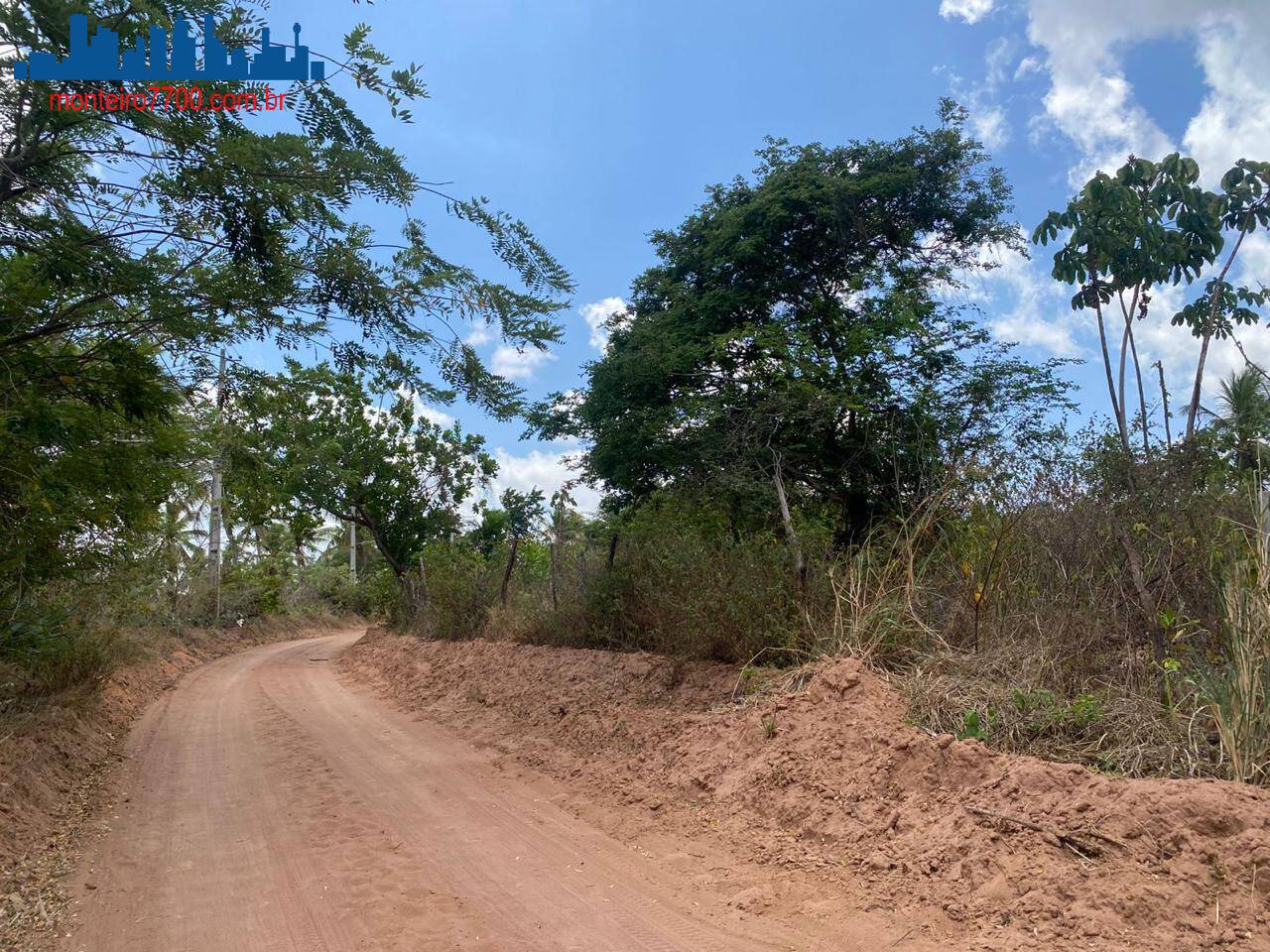 Terreno, 2 hectares - Foto 10