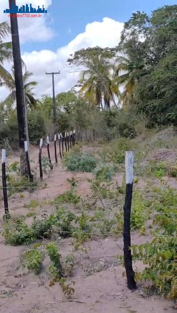 Terreno, 1 hectares - Foto 3
