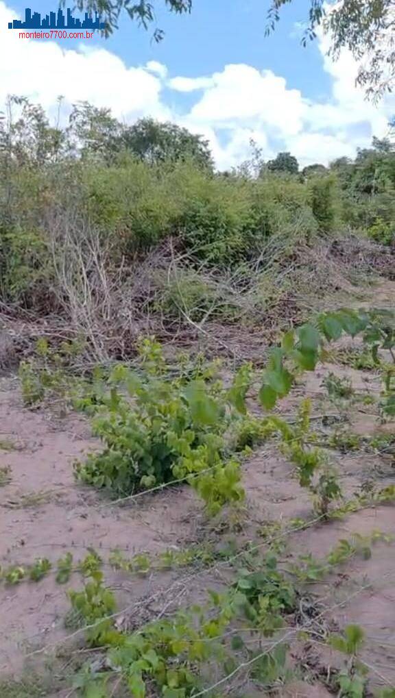 Terreno, 1 hectares - Foto 5