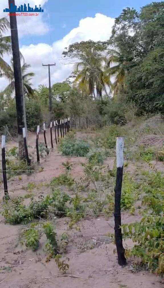Terreno, 1 hectares - Foto 4